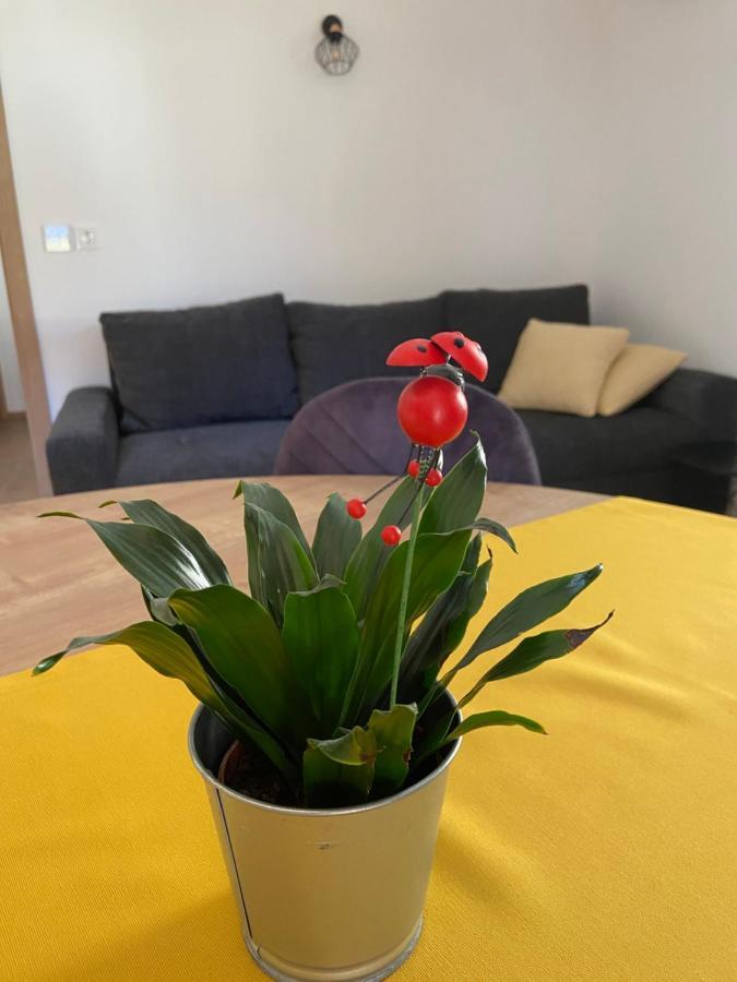 New Apartments Teravila Rateče Εξωτερικό φωτογραφία